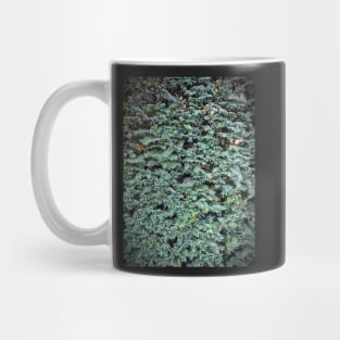Hedge - Taxus Mug